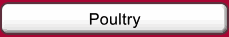 Poultry